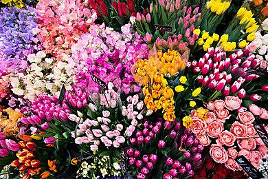 等了12年！《以撒》作者新作《Mewgenics》终定档